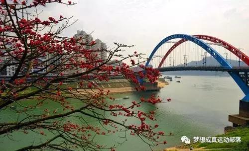 球队比赛招募,球队招募