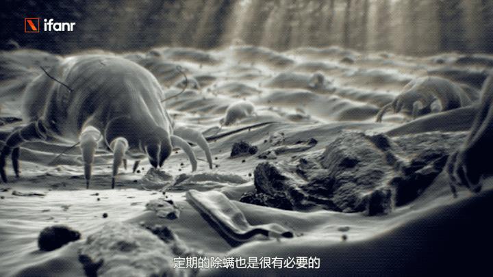 吸尘器对比测评华为,吸尘器对比测评戴森米家