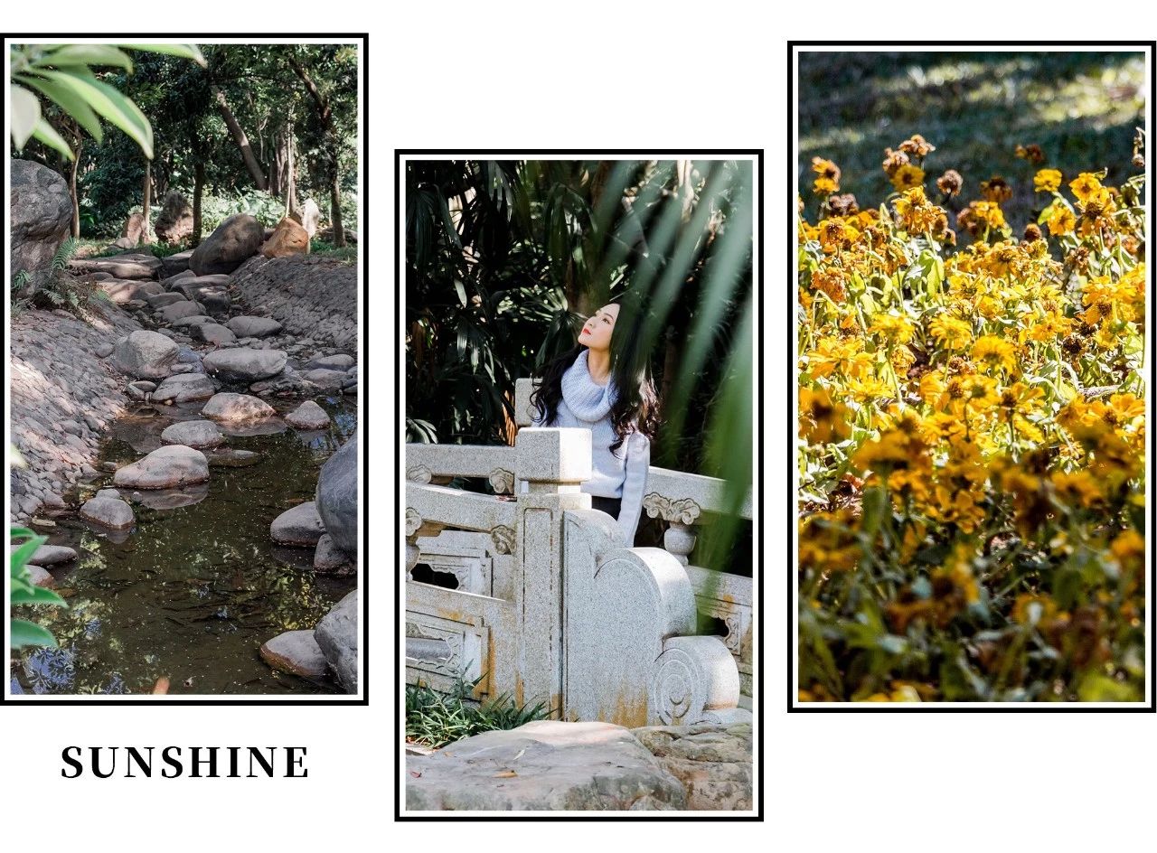 深圳十大顶级公园,深圳市十大风景公园排名