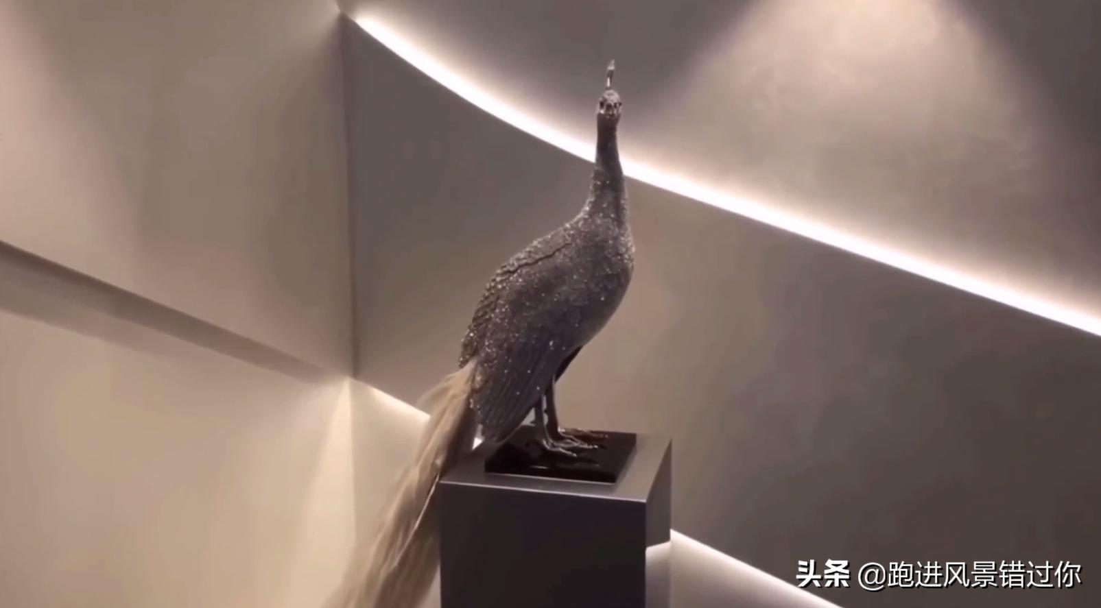 我国最大的邮轮是什么号,海洋光谱号邮轮有哪些免费项目