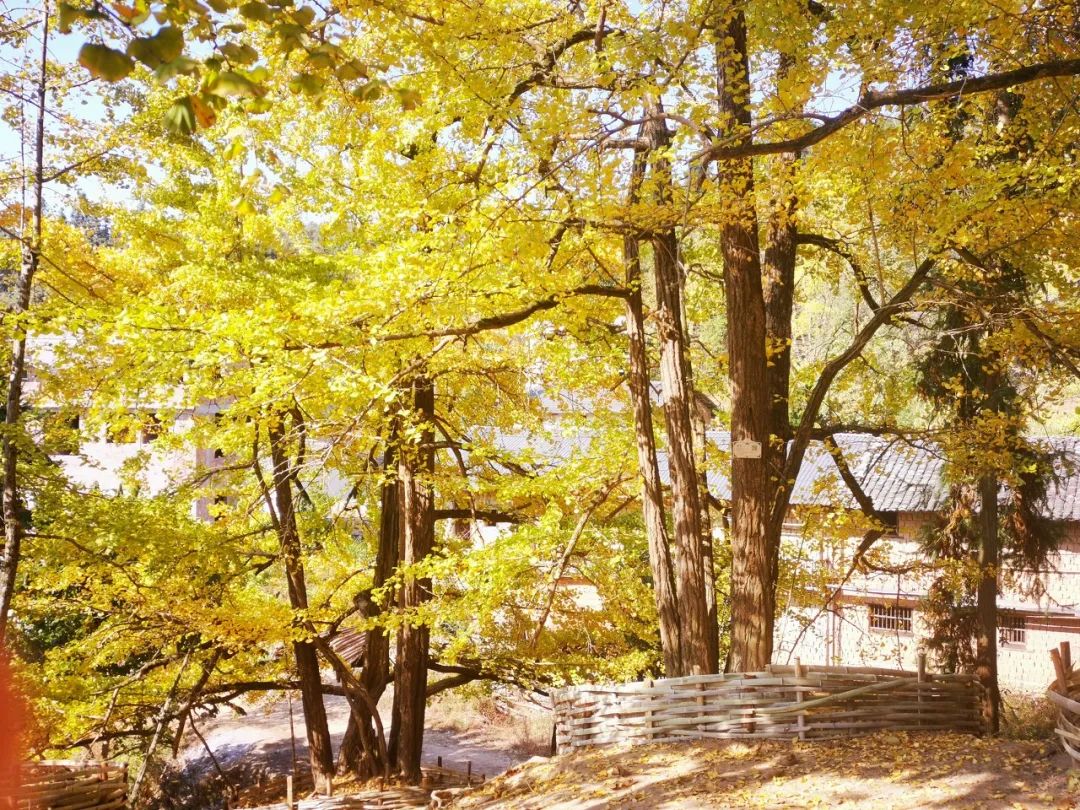 这才是国内最美的地方,这才是中国34省最该去的地方