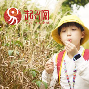 前程似锦的男孩名一个字,前程似锦飞黄腾达的男孩名字