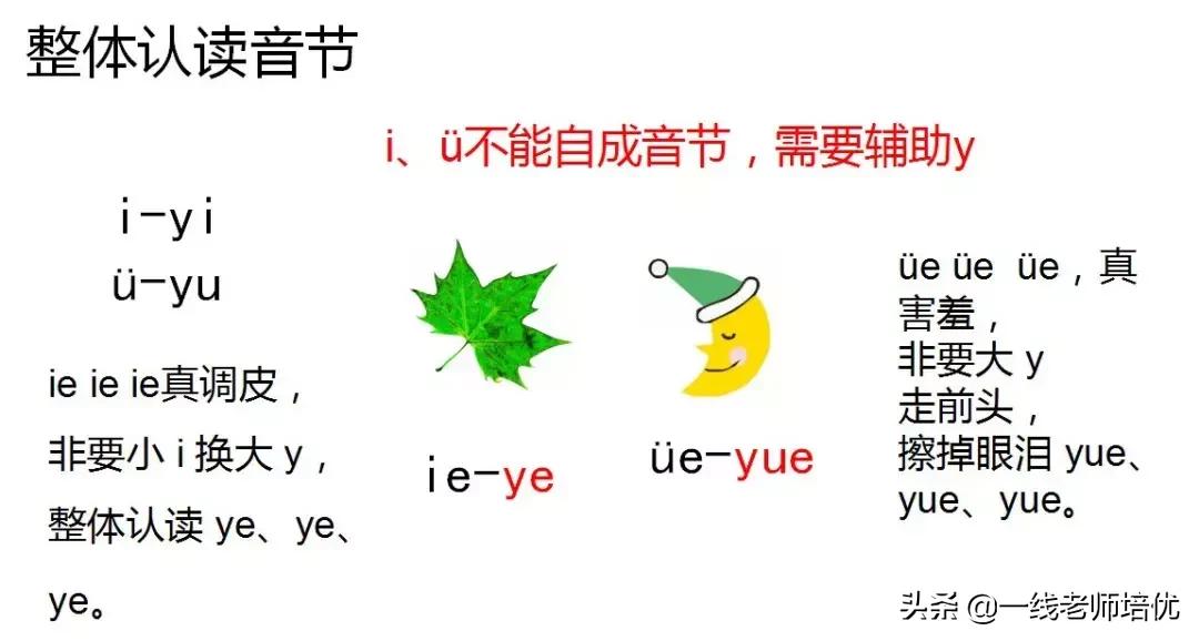 知识点+同步练习题部编版一年级语文上册拼音11ieüeer