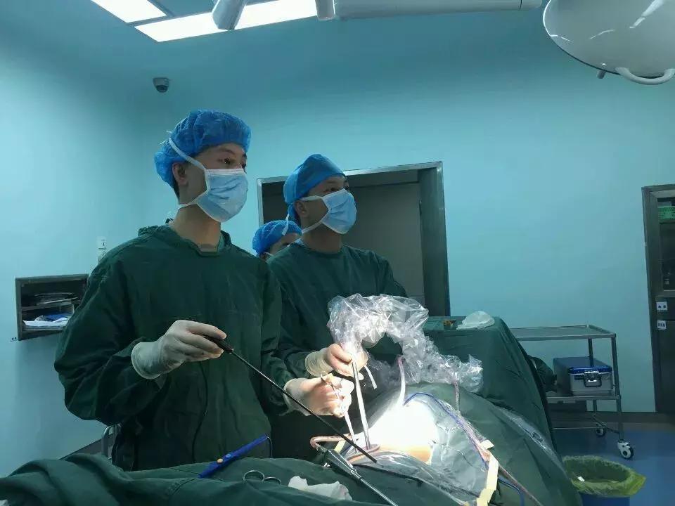 一女子找不到工作,女子因长得太漂亮一直找不到工作