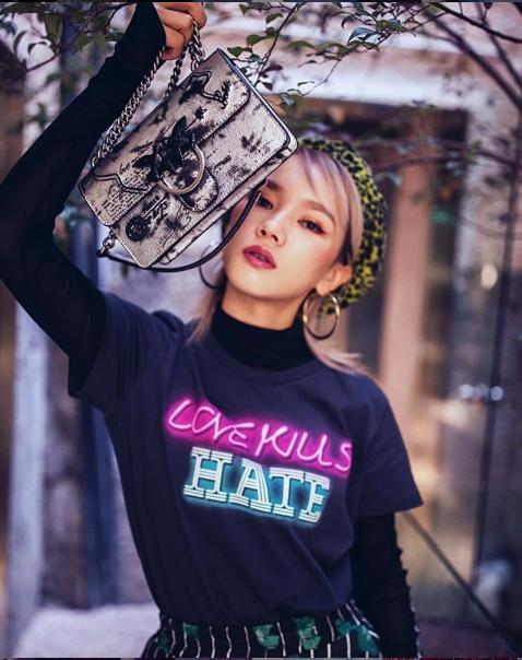 pinko燕子包是小号还是中号好看 (轻奢pinko燕子包)