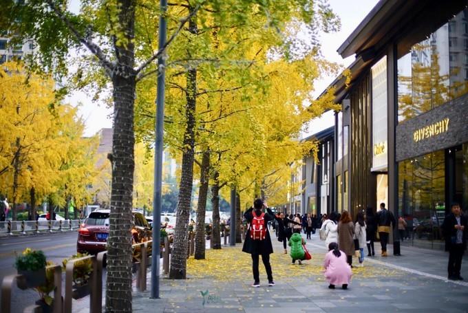 缇ゅ厜鍚涙偊,缇ゅ厜鍚涙偊閰掑簵澶滄櫙