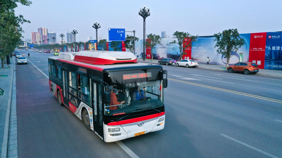 大动脉物流运输,大动脉血液循环