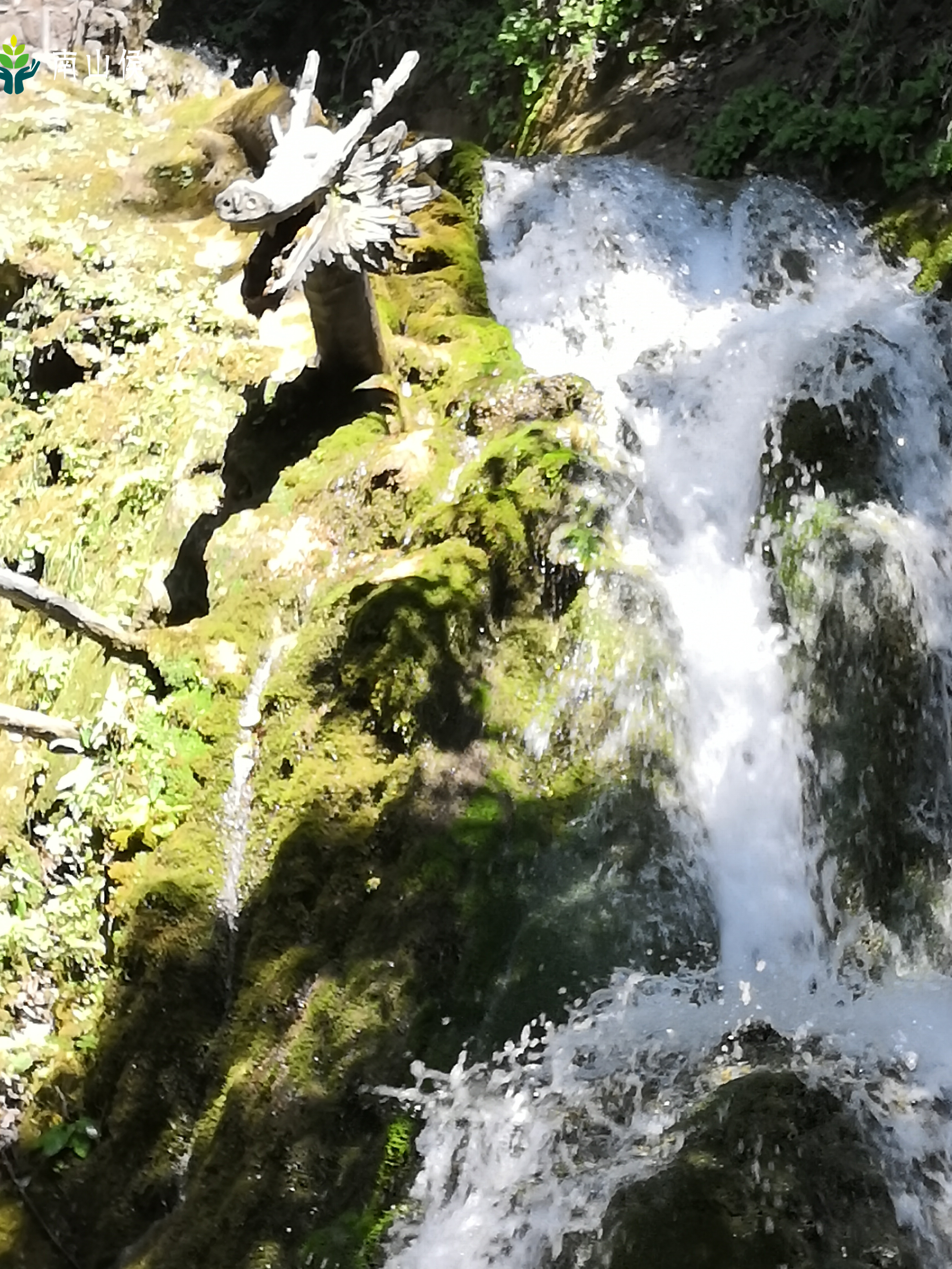 湖北郧西龙潭河介绍,郧西传统文化