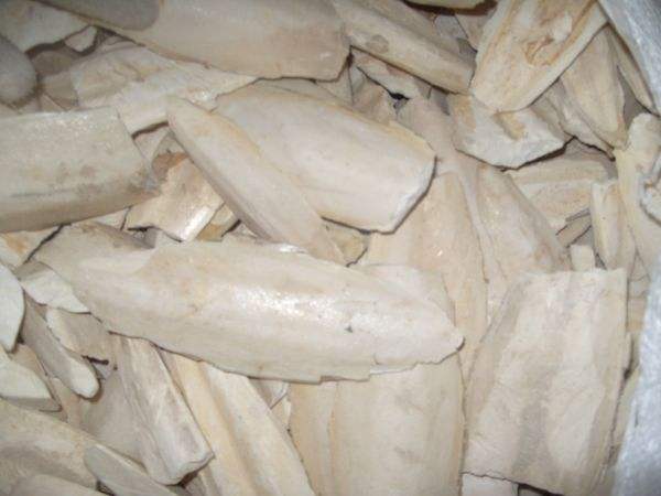 鹦鹉鸟喙增厚了什么原因,鹦鹉嘴变形了怎么处理