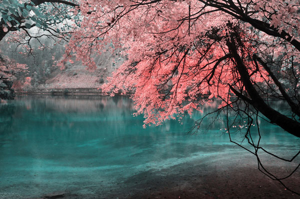 九寨沟什么季节是淡季,九寨沟旅游季节九月