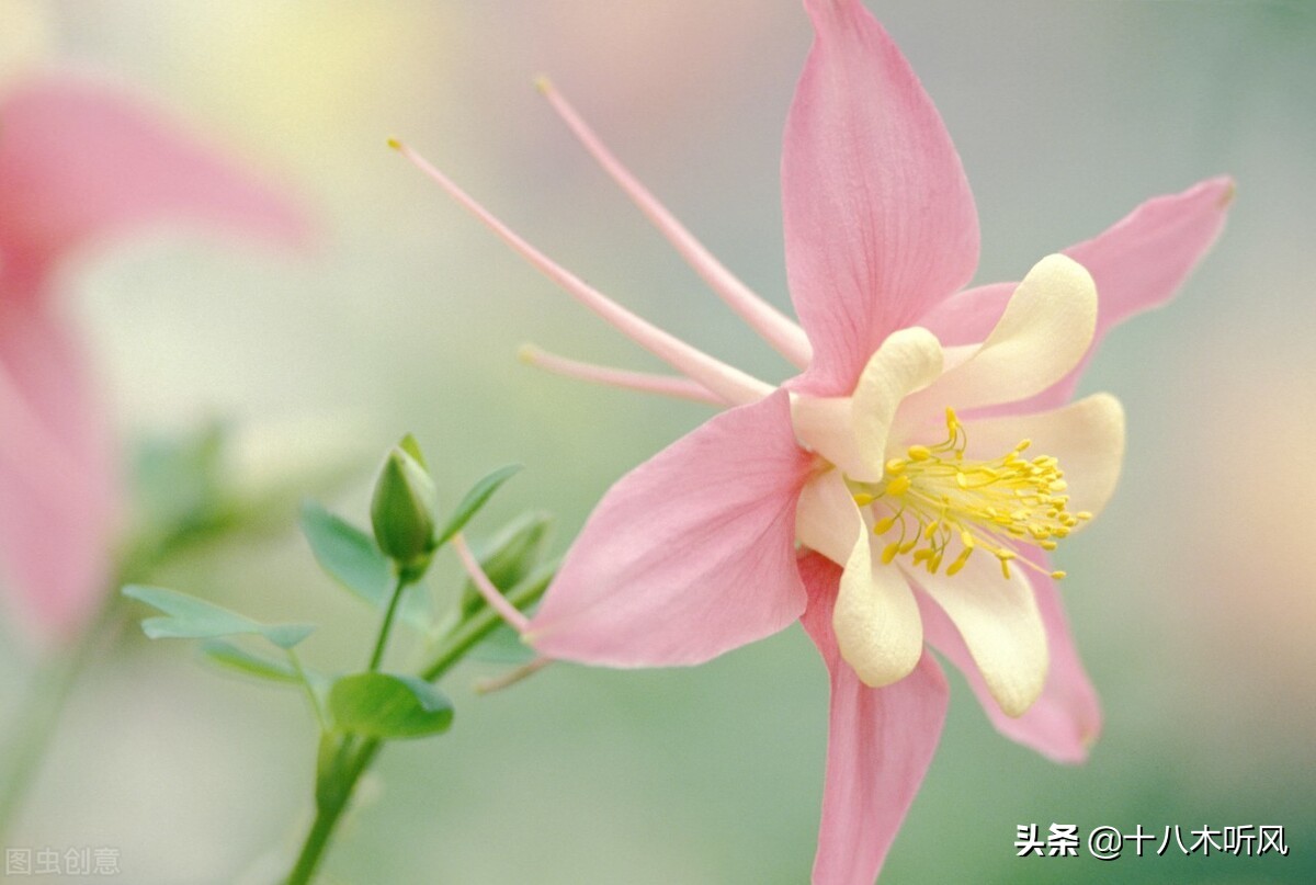 考研调剂需要发邮件吗,考研调剂要怎么发邮件