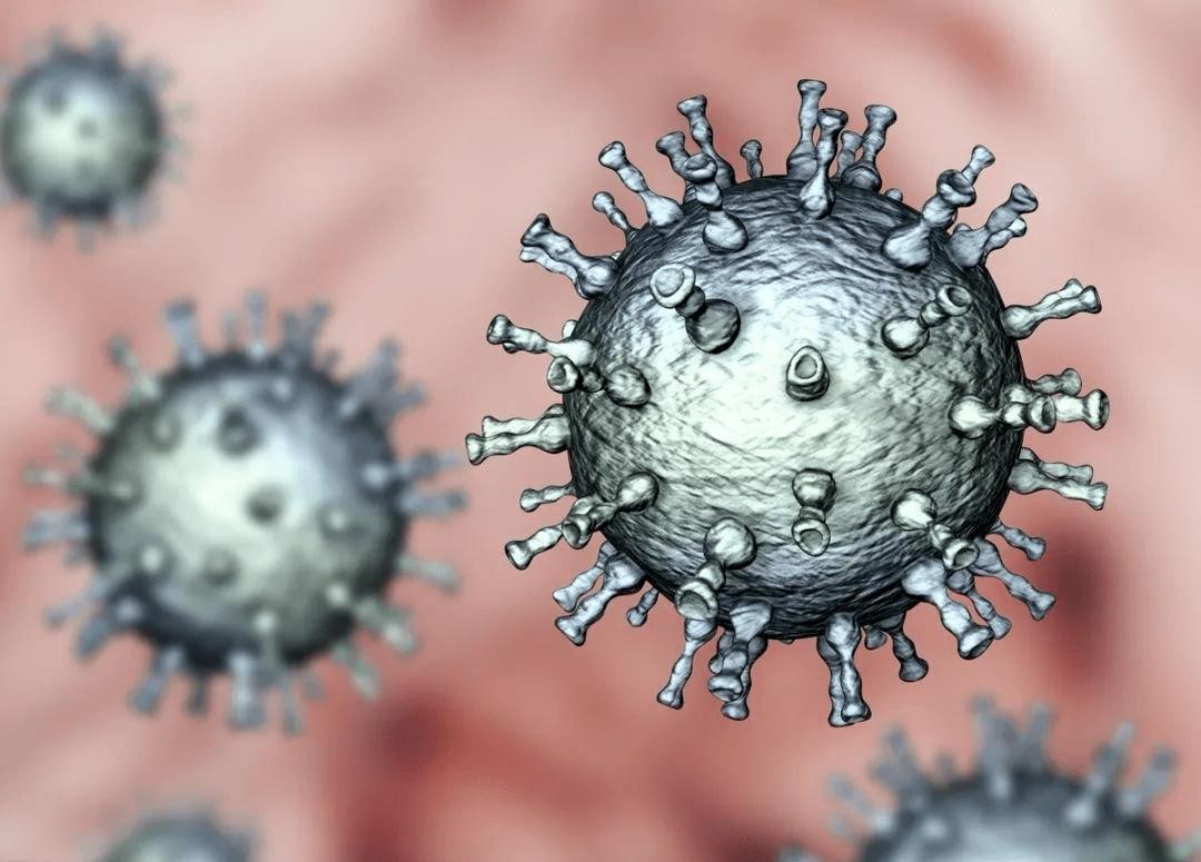 带状性疱疹和缠腰蛇是一样的吗,带状疱疹蛇缠腰会传染吗