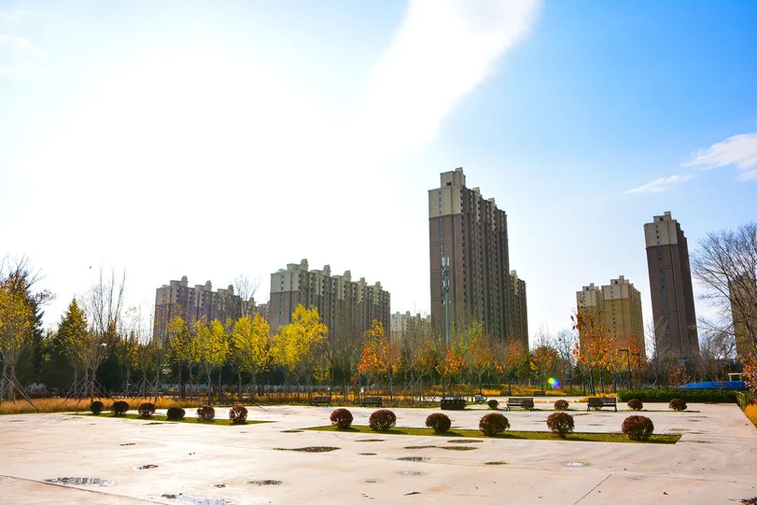 北京新开40个公园在哪里,北京十佳公园