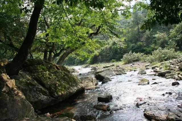 广西最发达6座城市,广西最发达的五个县级市