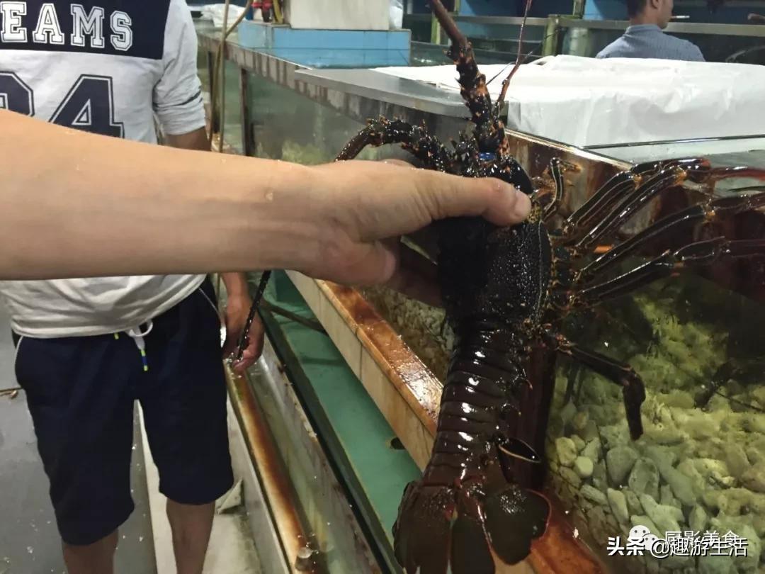 世界上的各种龙虾,世界上最大龙虾