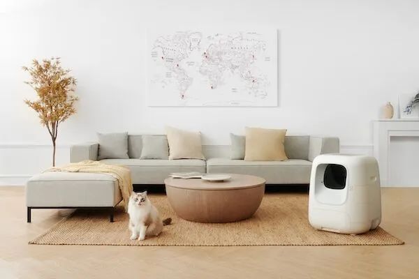 锅圈、文和友、零食有鸣等20品牌融资;华尔街英语破产|创投周报