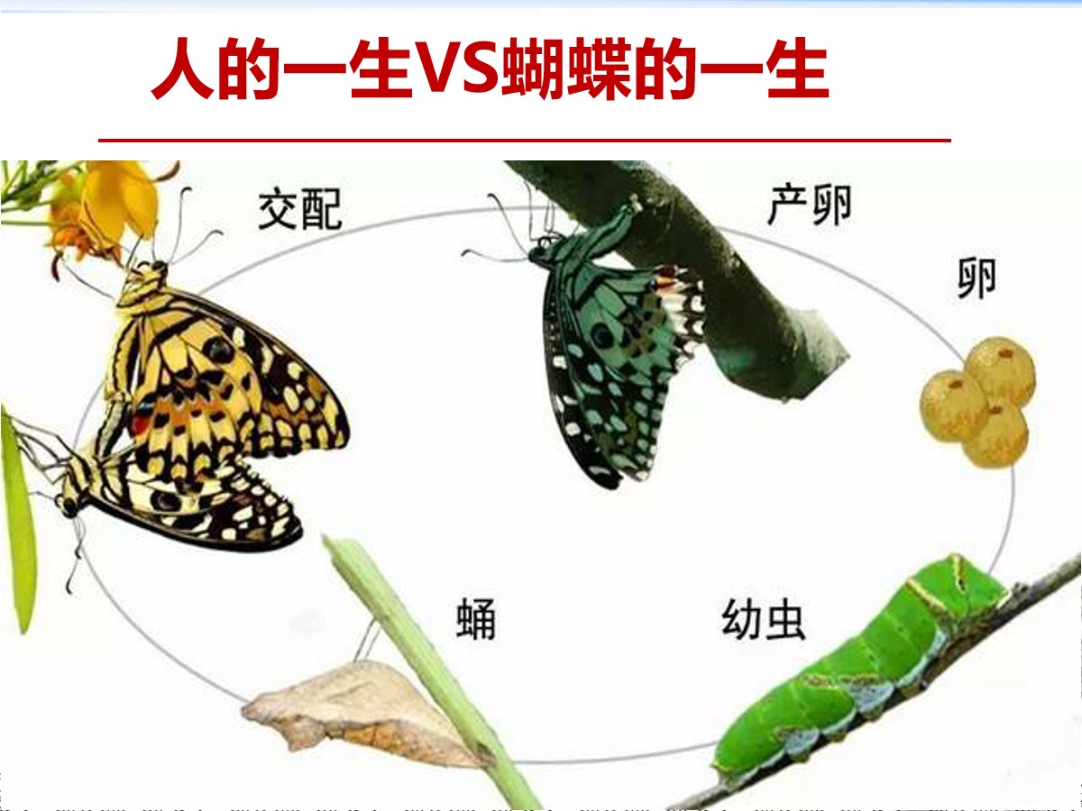 九型人格起源于宗教,九型人格起源于哪里