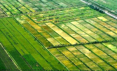 军事地形学书,军事地形学识图用图书籍