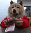 股份制银行薪资待遇排名渤海银行,六大行一定比股份制银行待遇好吗