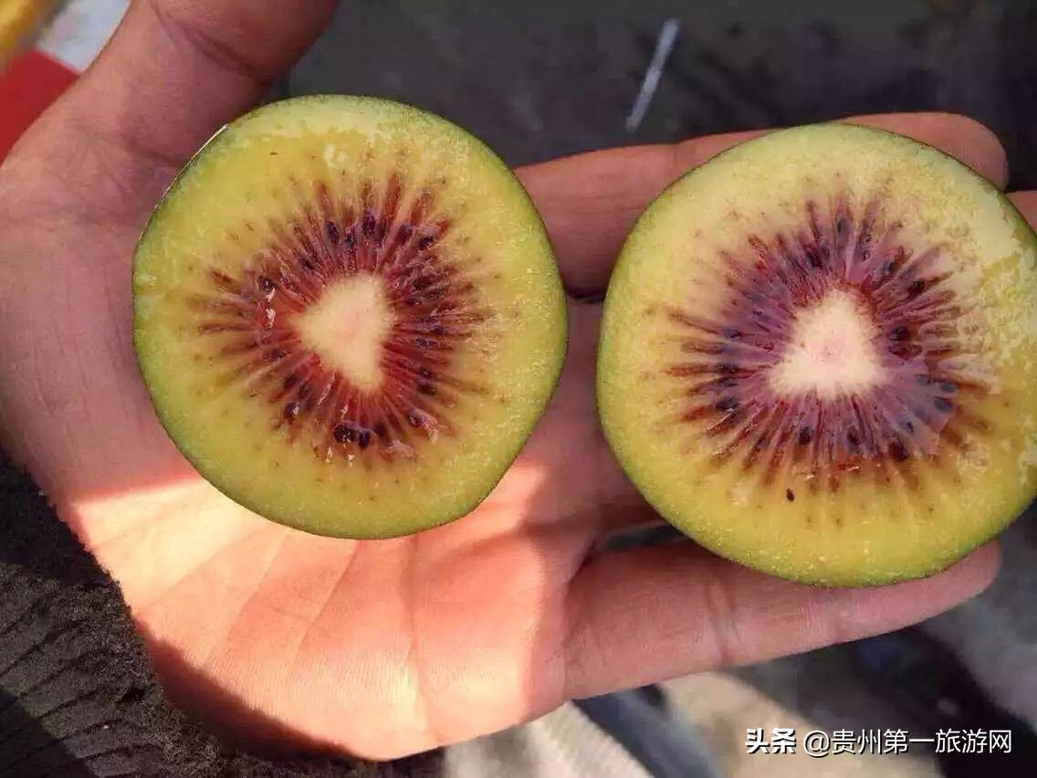 夜郎凉都,凉都月亮河