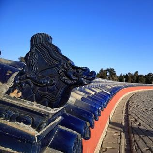 奇妙假日旅行,奇妙假期在哪里看