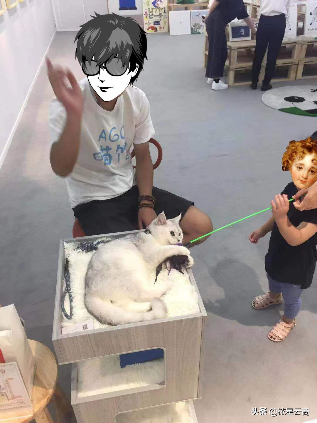 我们一起喵喵喵疯狂版,我们一起喵喵喵完整