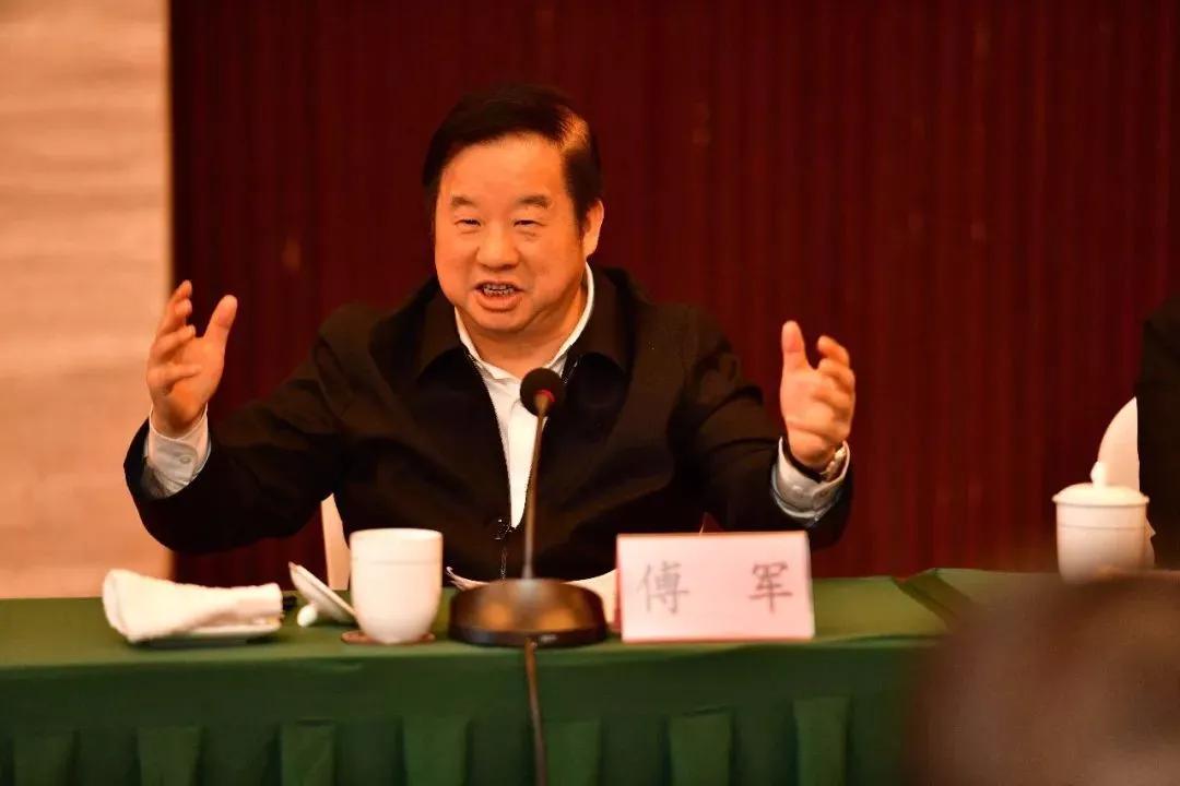 新华联集团傅军近况,新华联傅军债务危机