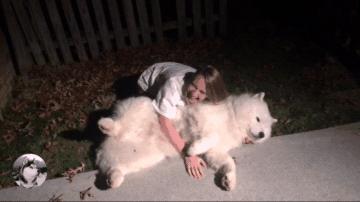 大白狗在公园交了“女友”，拒绝跟主人回家：感觉失恋了