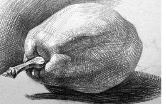 素描不会画实物怎么办,素描静物不会深入刻画