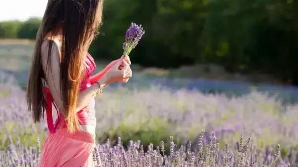 美翻了无锡这个紫色花海,美翻诸城这片花海刷爆整个朋友圈