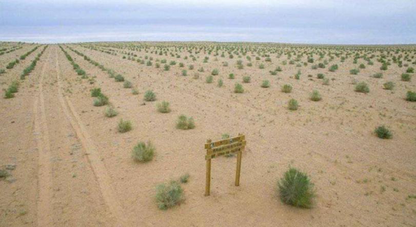 蚂蚁森林推出3年，马云在线下种植了1亿棵树苗，你贡献了几棵？