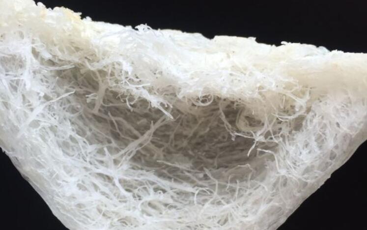 去泰国燕窝多少钱,去泰国买哪个牌子燕窝