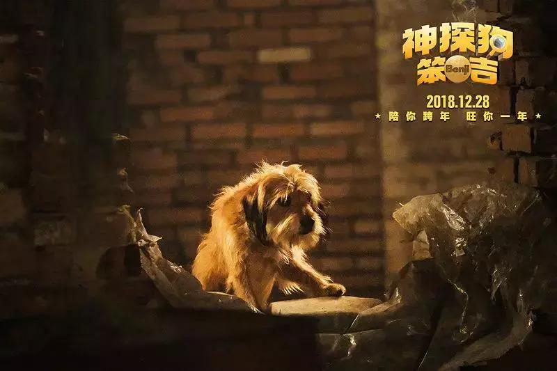 影讯｜汤唯黄觉一吻跨年，马丽乔杉爆笑来袭