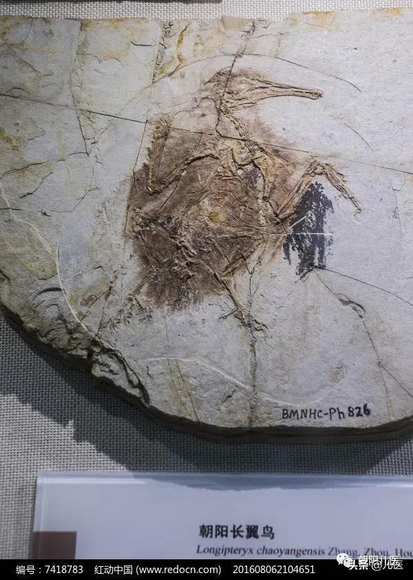 大美朝阳宣传片,大美朝阳一角的夜景