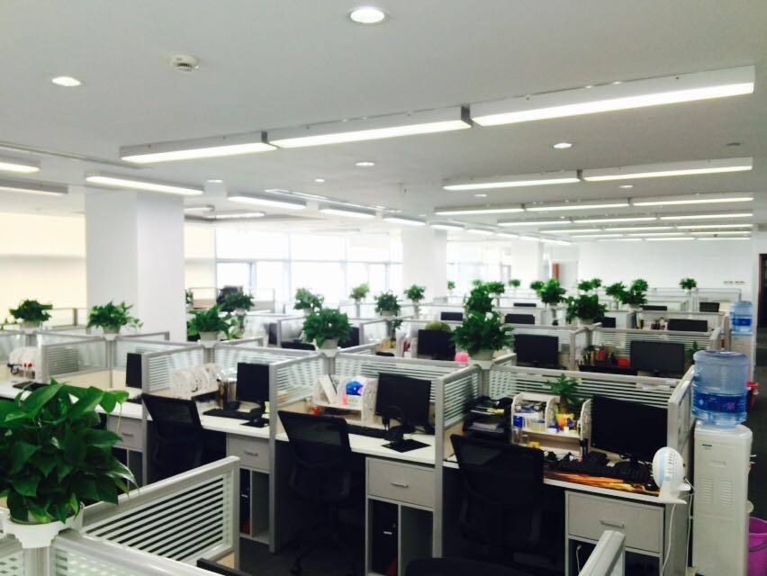 我在保险公司工作,我在保险公司