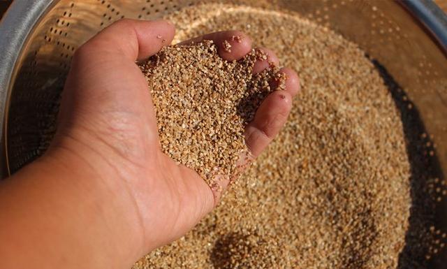 养花土的虫子怎么消灭最好,养花去除小虫子的妙招