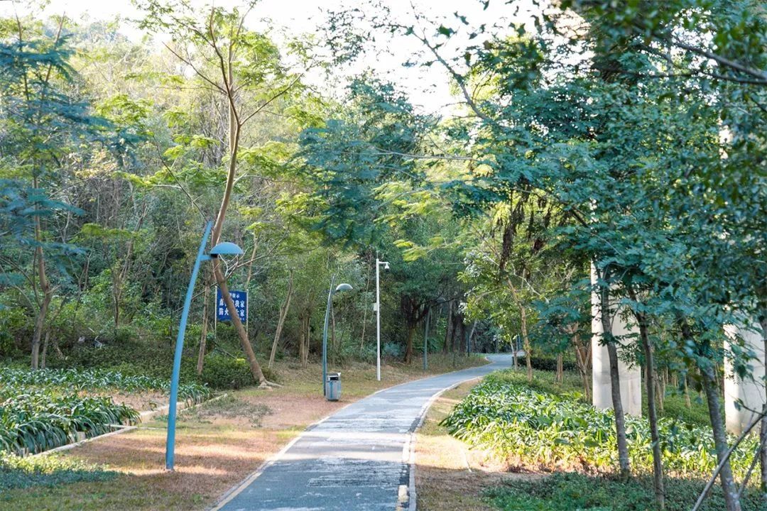 最美湖泊小众风景,最美湖泊西湖