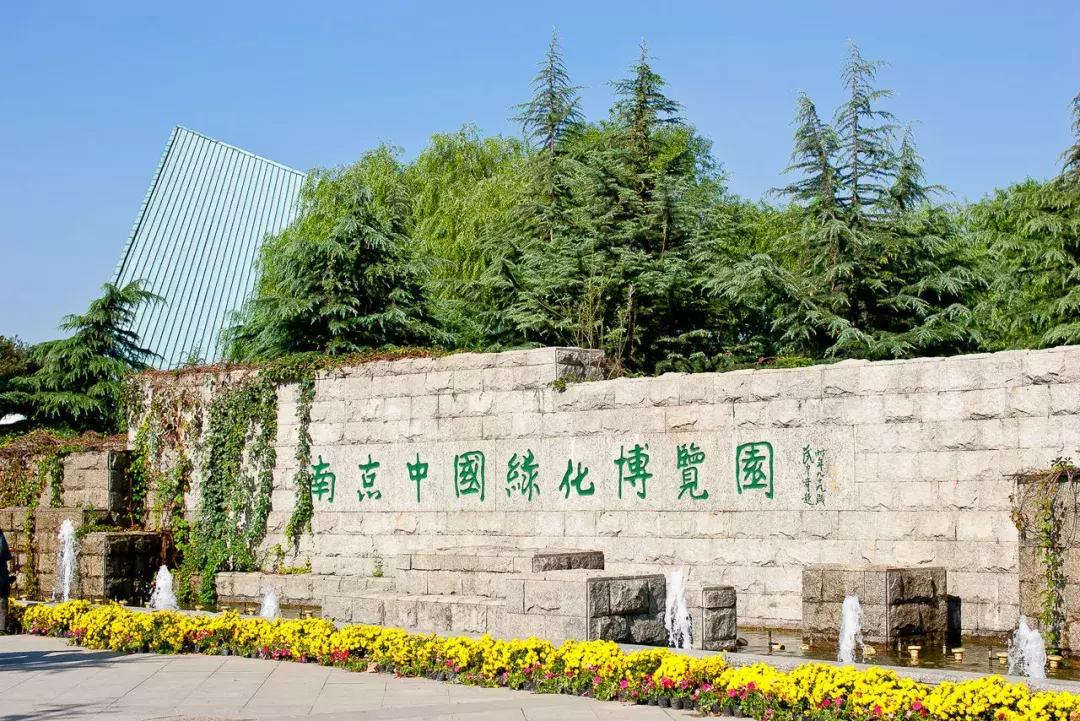 南京哪几个公园免费又好玩,南京莫愁湖公园免费