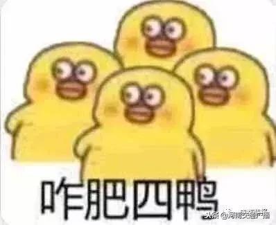 房子租给年轻人的后果,房子租给单身小伙一年多