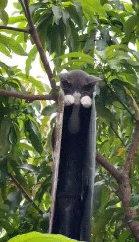 学会这招不愁找不到女朋友,学会这几招不怕找不到女朋友