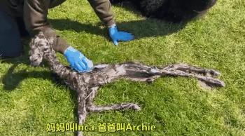 飞机上的马桶别乱用,飞机上的马桶为什么不容易粘