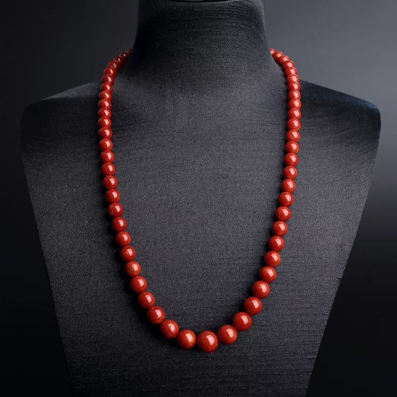 买珊瑚，看这篇就足够了~