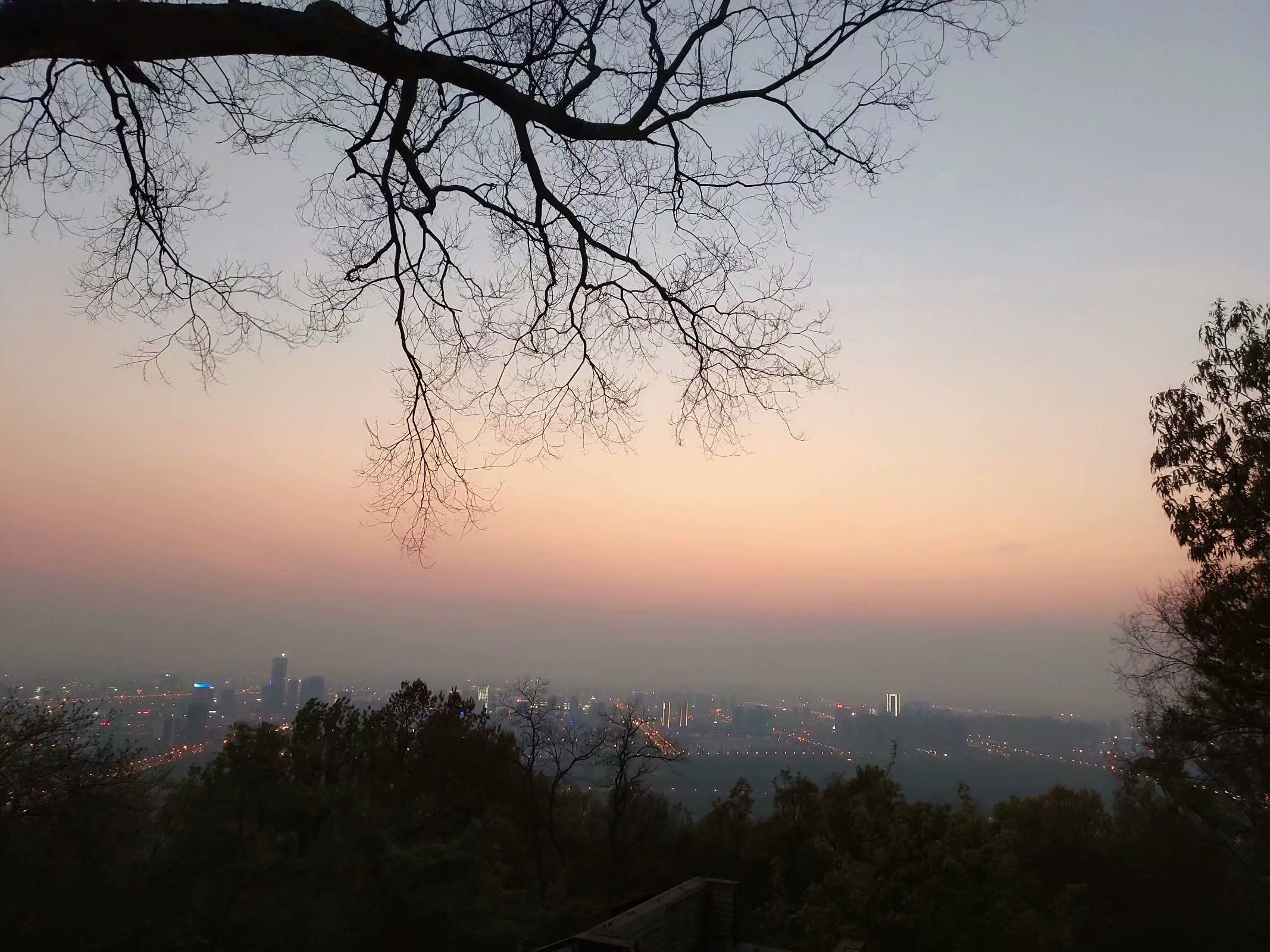 合肥市网红游玩区,合肥网红景点推荐