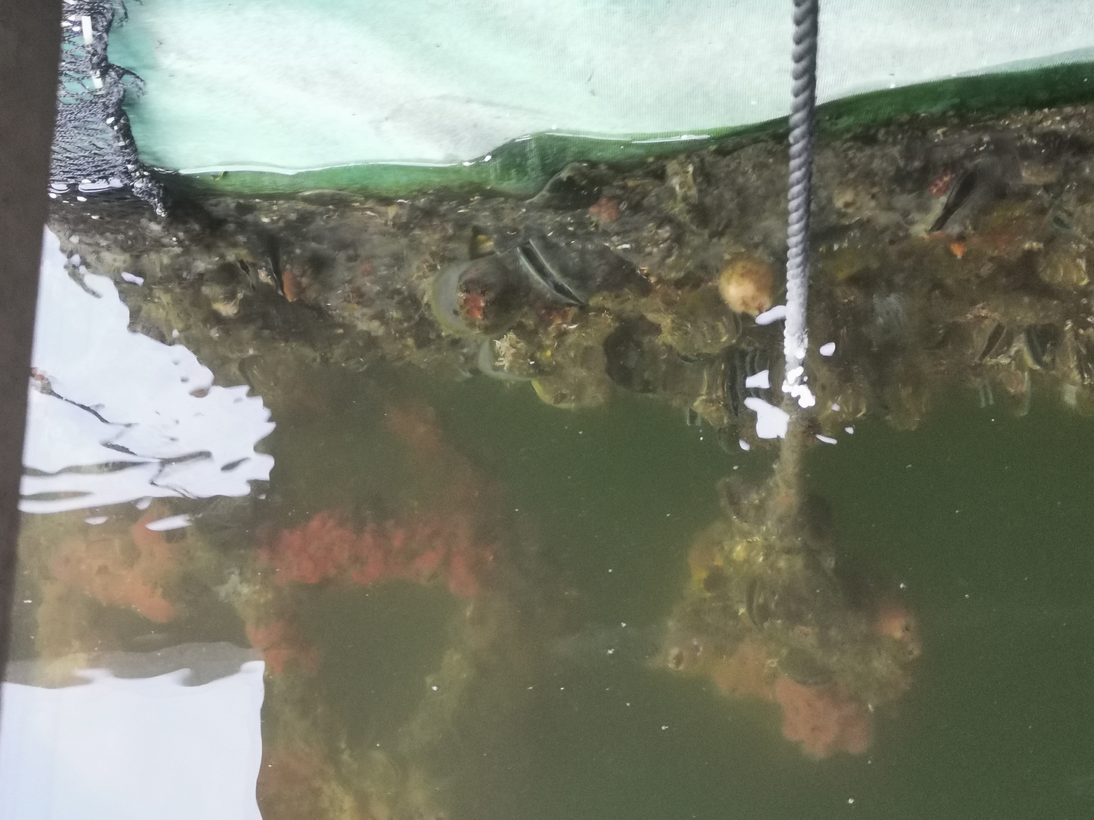 惠州大亚湾海边有哪些地方,大亚湾团建在什么地方