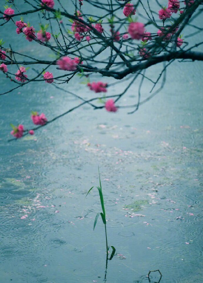 书信、酒、月亮、太阳、银河的雅称,你都听过吗?收藏学习