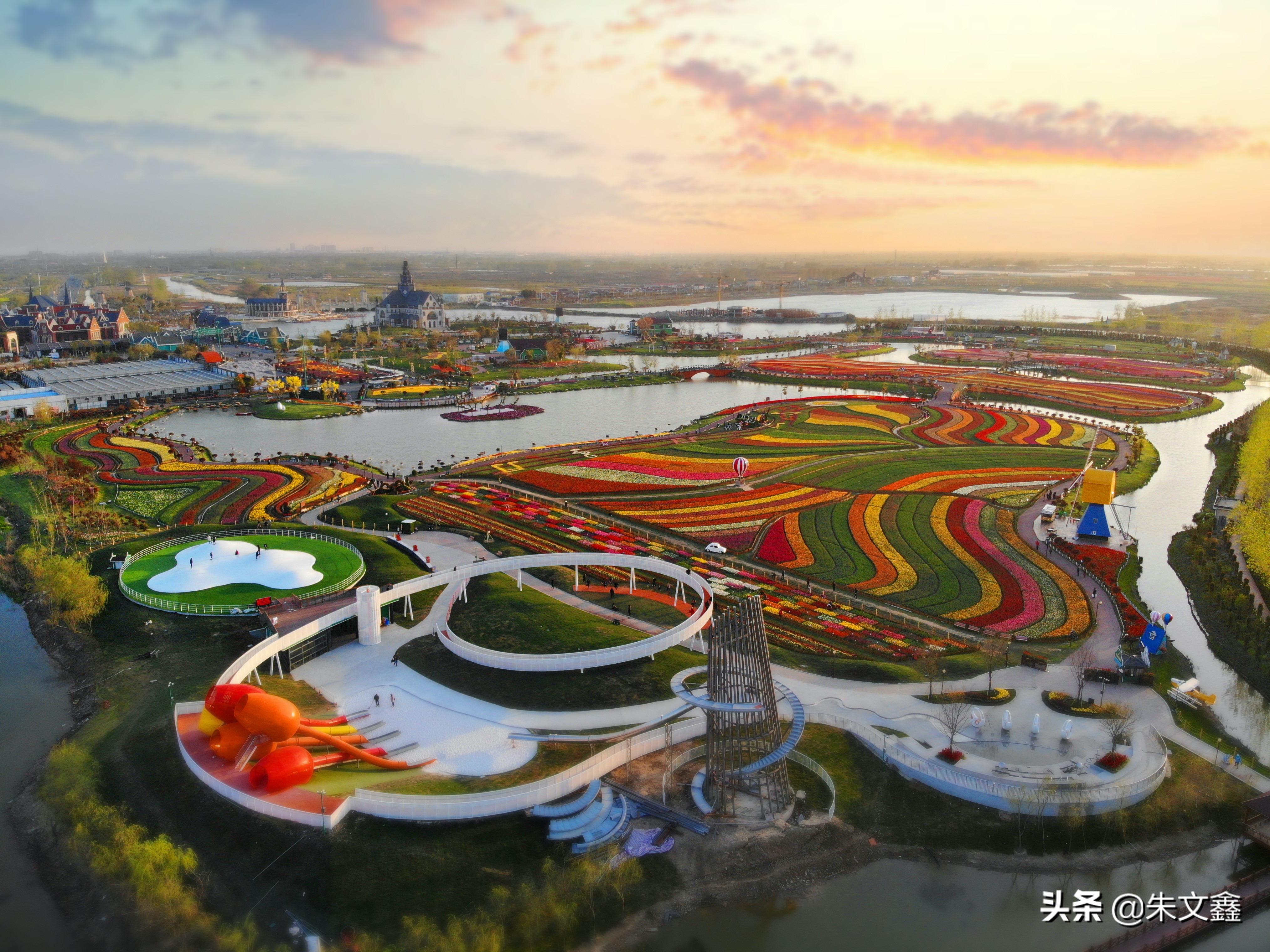 大丰荷兰花海郁金香开了没有,荷兰花海现在有郁金香吗