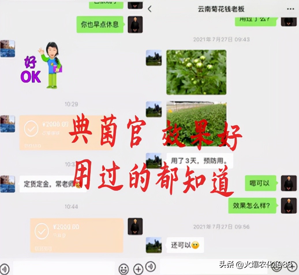 能杀灭真菌细菌病毒的东西,专杀细菌杀菌剂大全