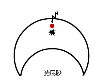 猪场免疫程序及流程图表,猪场正规免疫程序图