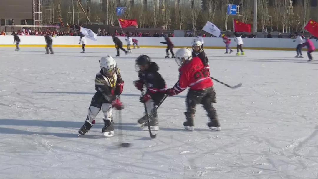张家口冰之梦滑冰场门票,张家口冰雪大世界滑冰场