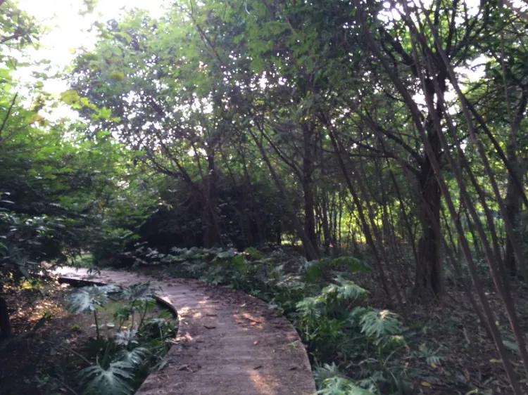 北大教授透彻解读：教育和*脑洗**有什么区别「@裸嘢李转」